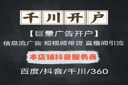 网络推广与竞价广告：双管齐下的策略案例
